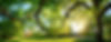AdobeStock_255174392.jpeg