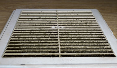 AdobeStock_125812285 (1).jpeg