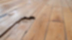 AdobeStock_1155963655.jpeg