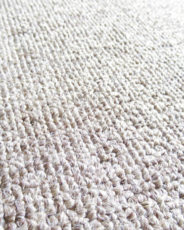 carpet cleaning.png
