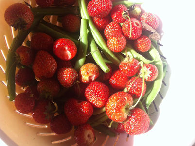 Healthy Eating - Snacks