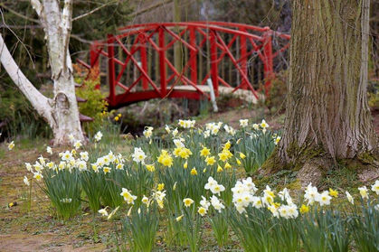 enchanting things to explore at Lower Hope Gardens in Ullingswick Hereford Herefordshire