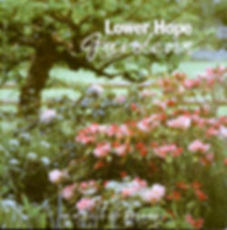 Lower Hope Gardens book In a Field of Dreams