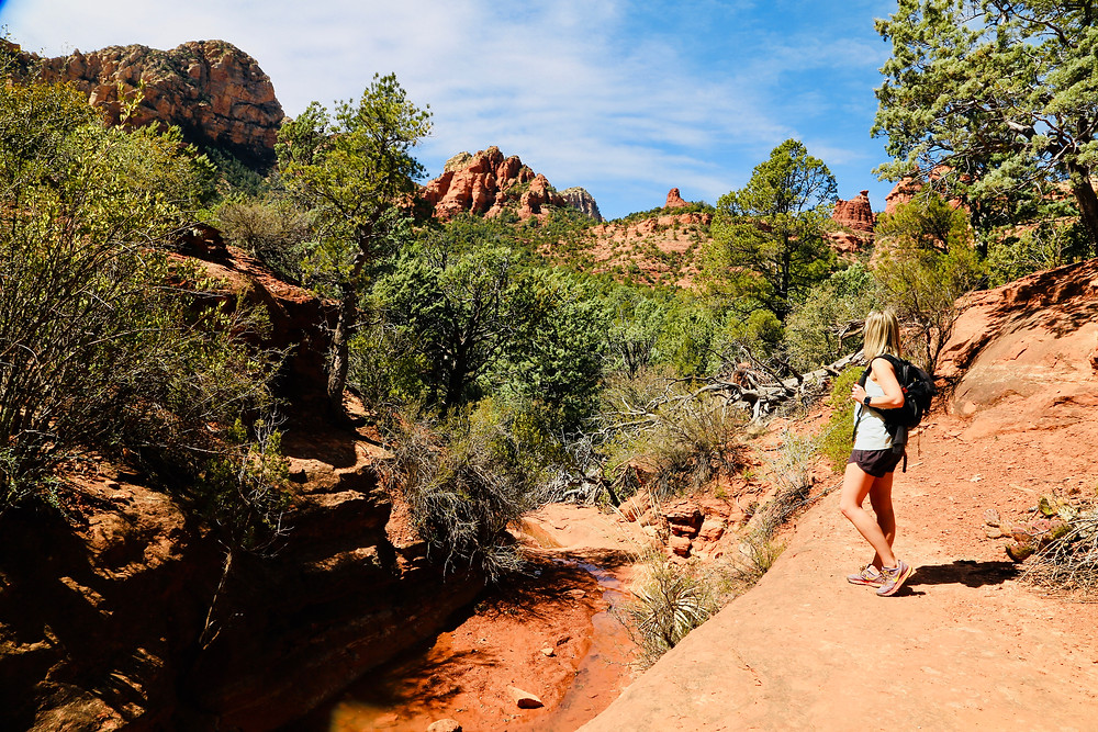 Sedona, travel, spring, travel, red rocks, Arizona, cactus, hike, Brins Mesa, trail, desert, landscape, woman