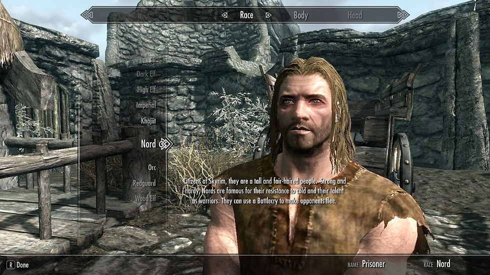 The character customization system in The Elder Scrolls: Skyrim