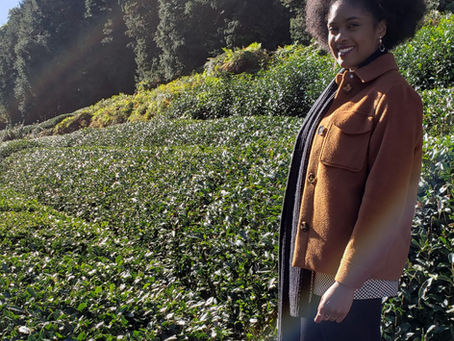 A trip to the Matcha Farm