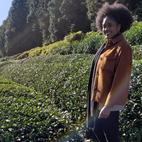 A trip to the Matcha Farm