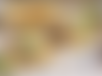 Reseña de Bandit Taco en College Park