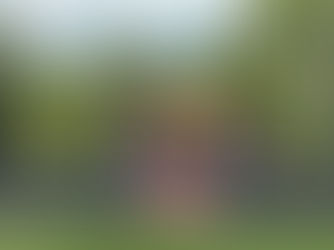 Maryland softball explodes in sixth inning, wins series over Illinois