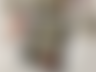 Wasabi Bistro Review