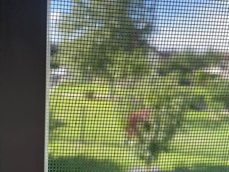 Les EPHAD se protègent des insectes