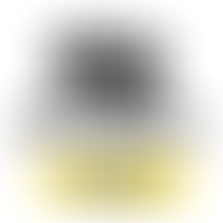 STORENSE partenaire du TCFC