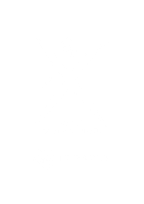 X_IPParis_blanc_Plan de travail 1.png