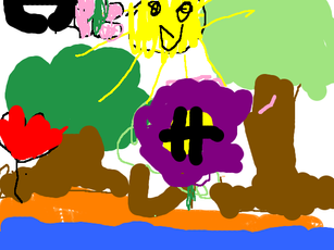 1°C - Conociendo la selva misionera