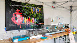 IMG-20260508-WA0003