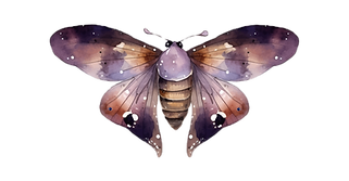 Untitled design (22)_edited.png