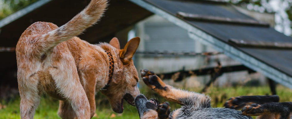 WhatsApp Image 2024-04-11 at 14.22.14.jpeg