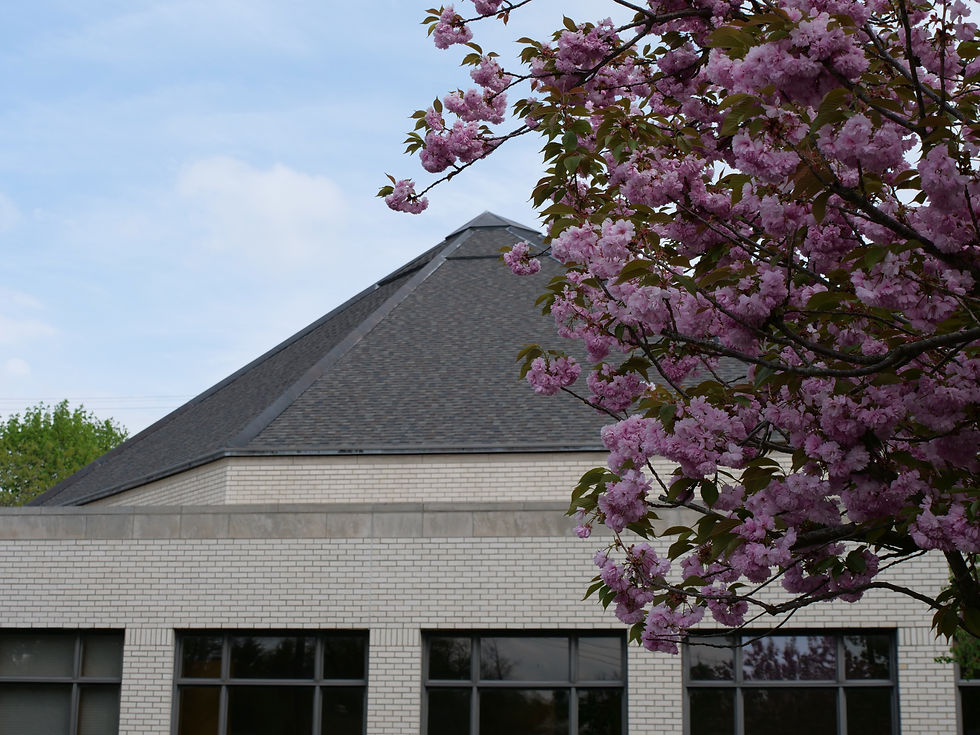 Attend the Genesis Annual Meeting on June 1