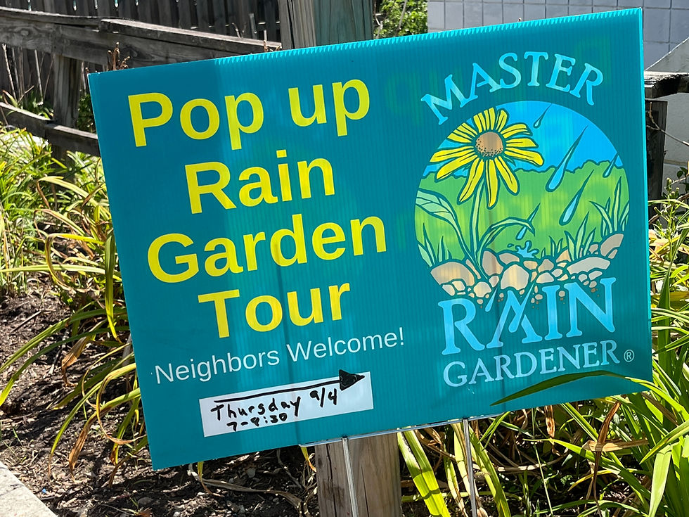 Fifty Rain Gardeners, Countless Plants, and One Hungry Skunk