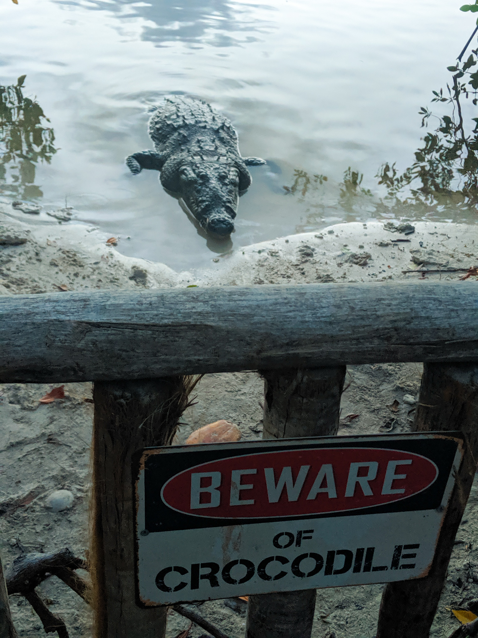 Visit the Crocs!