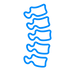 coluna-vertebral (1).png