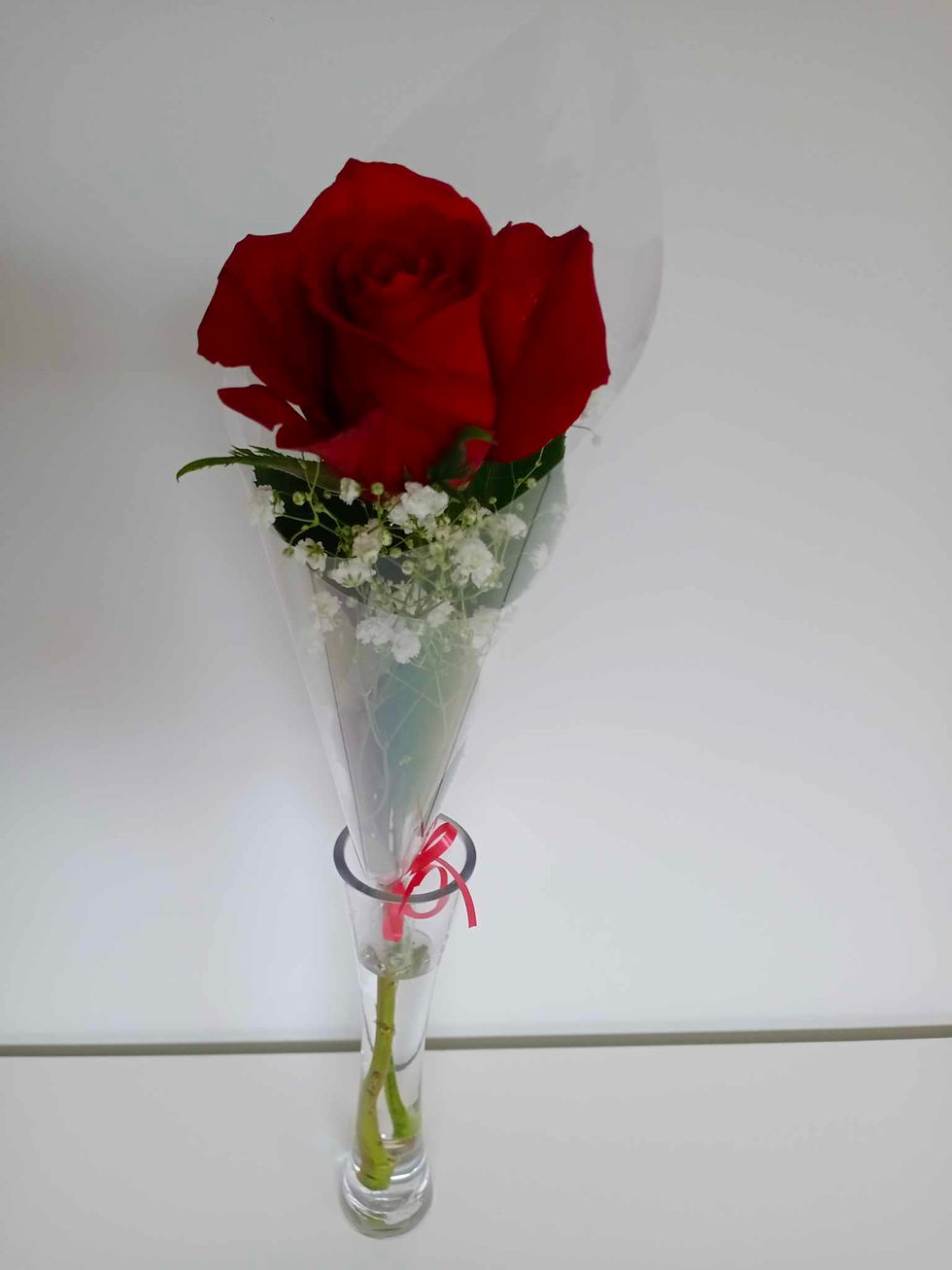 Single Rose