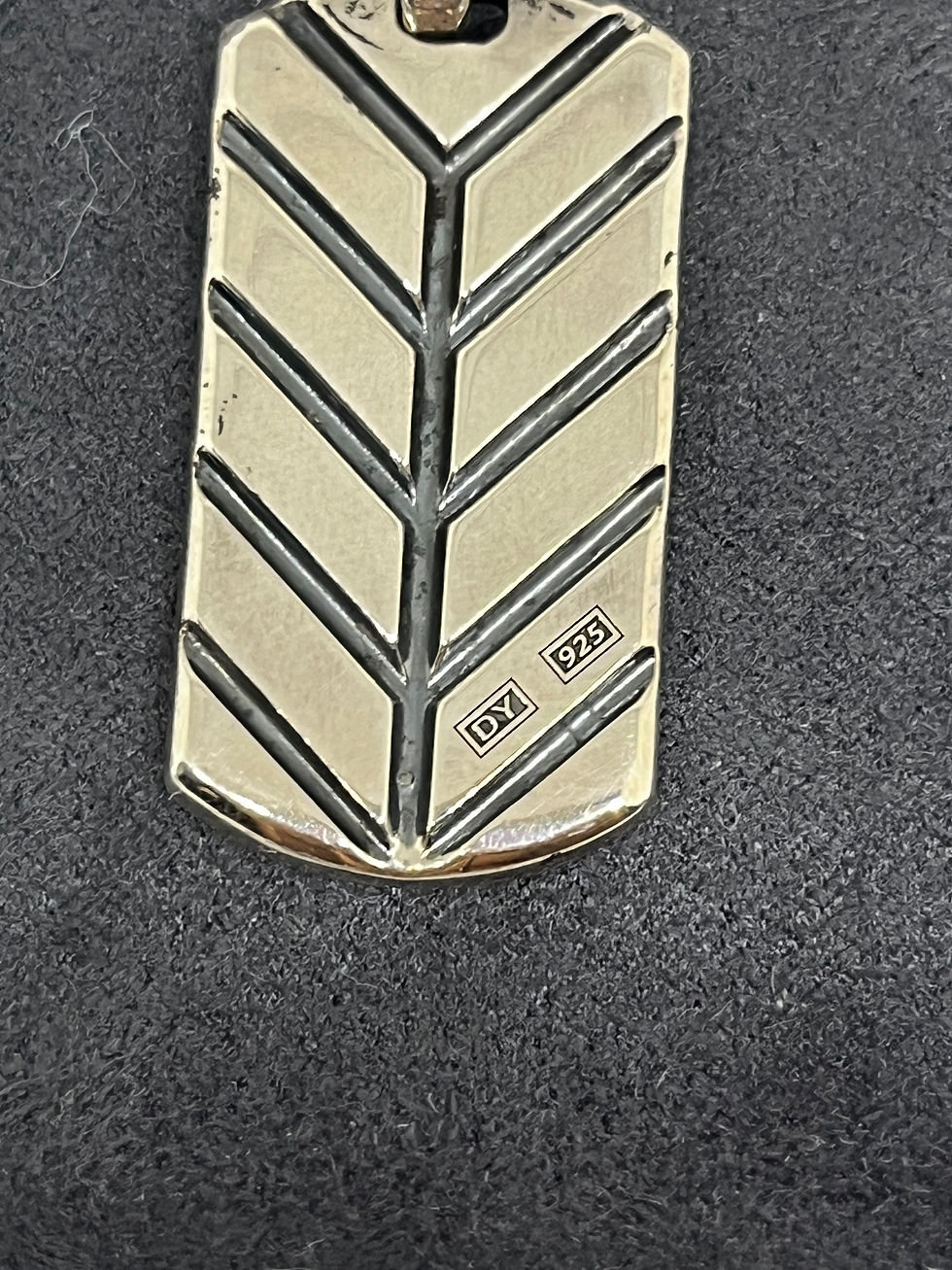 Thumbnail: David Yurman rainbow dog tag pendent 