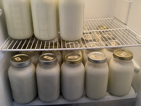 Too much milk