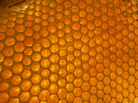Honey comb