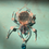 Thumbnail: Spider suncatchers 