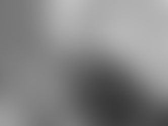 Judge Harlin Dissenting Opinion