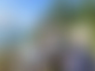 「東尋坊の茂さん」に学ぶ