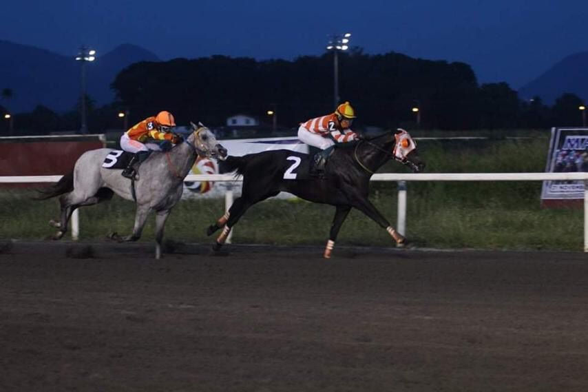 War Cannon bred by Rancho Santa Rosa, winner sa MARHO 3YO Stakes Race