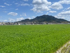 私にとって最も強い刺激の一つ