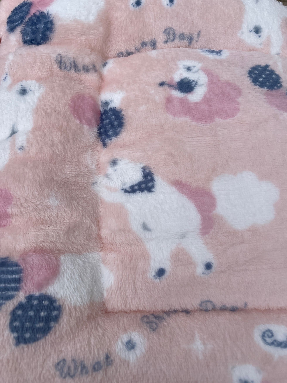 Miniature : Coussin polaire 48 x 34 cm