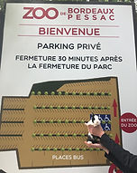 IMG_7337.JPG