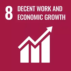 SDG 8.webp