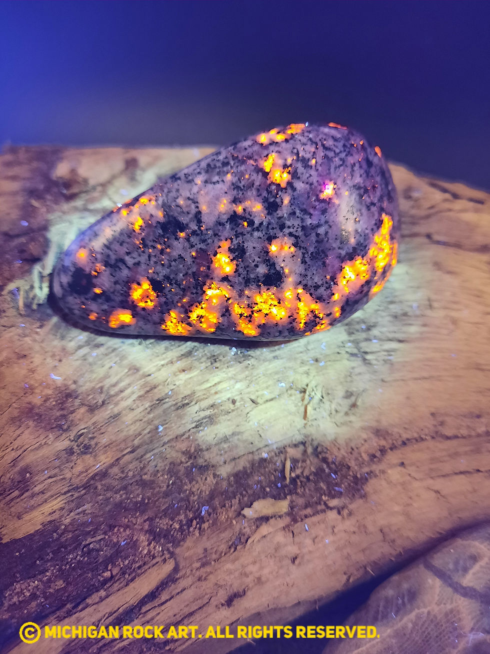 Thumbnail: Michigan Polished Emberlite Sodalite Fluorescent Bearing Syenite Palm Stone