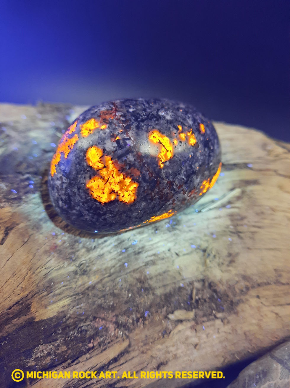 Thumbnail: Michigan Polished Emberlite Sodalite Fluorescent Bearing Syenite Palm St