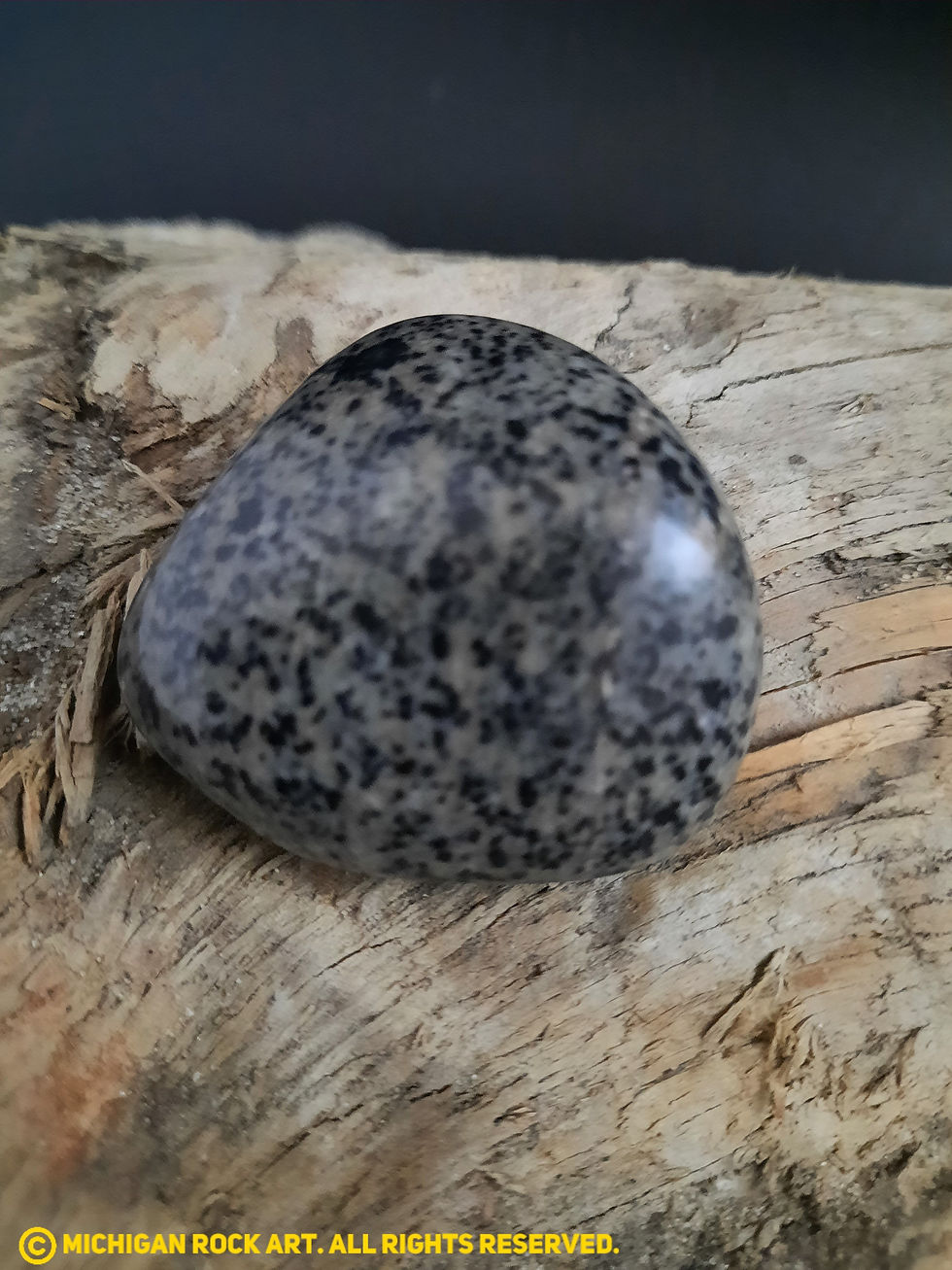 Thumbnail: Michigan Polished Emberlite Sodalite Fluorescent Bearing Syenite Palm Stone