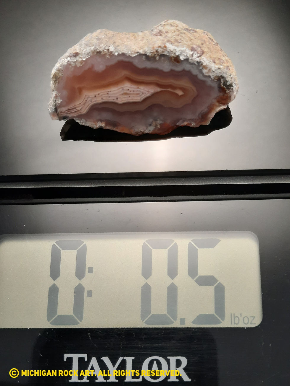 Thumbnail: Laguna Agate Cut and Face Polished - 0.5 oz