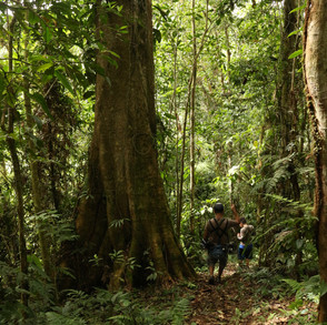 Nature Hike