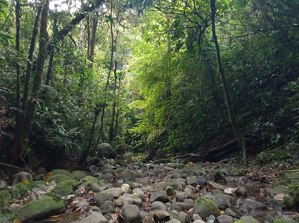 Imagen de WhatsApp 2021-10-23 a las 15.58.42 (2).jpeg