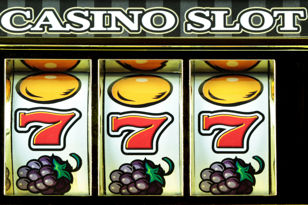 Everything You Need to Know About Slots