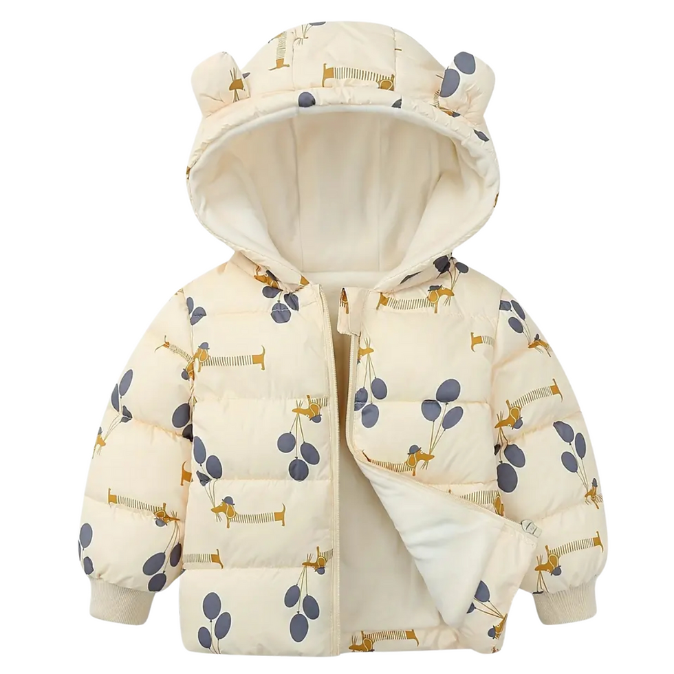 Kapuzenjacke, Vorderansicht