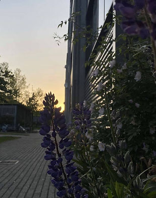 vpfoto1.jpg