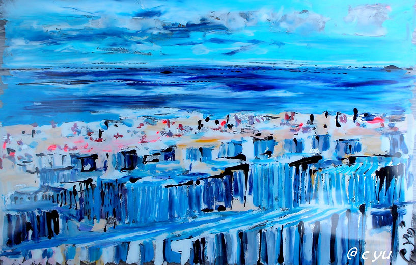 plage du Nord cyu juin 2017 1m.JPG