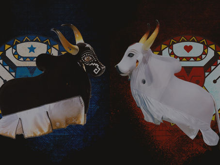 Festival de Parintins: a preparação para encantar