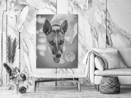 Le regard