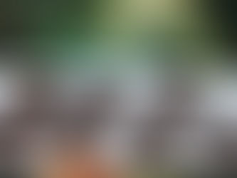 כמו אוזני המן